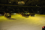 Amadeus Horse Indoors - Gala Abend 3166998