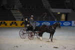 Amadeus Horse Indoors - Gala Abend 3167001