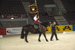 Amadeus Horse Indoors - Gala Abend 3167046