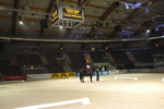 Amadeus Horse Indoors - Gala Abend 3167047