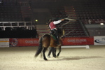 Amadeus Horse Indoors - Gala Abend 3167048