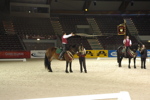 Amadeus Horse Indoors - Gala Abend 3167050