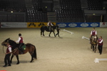 Amadeus Horse Indoors - Gala Abend 3167051