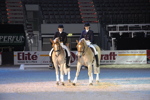 Amadeus Horse Indoors - Gala Abend 3167052