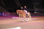 Amadeus Horse Indoors - Gala Abend 3167053