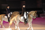 Amadeus Horse Indoors - Gala Abend 3167055