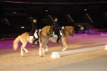 Amadeus Horse Indoors - Gala Abend 3167056