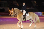 Amadeus Horse Indoors - Gala Abend 3167057