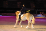 Amadeus Horse Indoors - Gala Abend 3167058