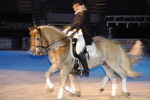 Amadeus Horse Indoors - Gala Abend 3167060