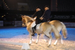 Amadeus Horse Indoors - Gala Abend 3167062