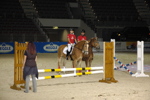 Amadeus Horse Indoors - Gala Abend 3167097