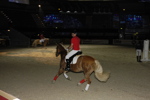 Amadeus Horse Indoors - Gala Abend 3167100