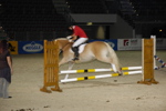 Amadeus Horse Indoors - Gala Abend 3167101