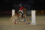 Amadeus Horse Indoors - Gala Abend 3167104