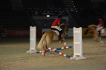 Amadeus Horse Indoors - Gala Abend 3167105