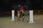 Amadeus Horse Indoors - Gala Abend 3167106