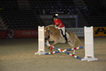 Amadeus Horse Indoors - Gala Abend 3167107