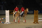 Amadeus Horse Indoors - Gala Abend 3167109