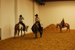 Amadeus Horse Indoors 3167164