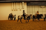 Amadeus Horse Indoors 3167166
