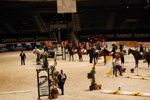 Amadeus Horse Indoors 3167172