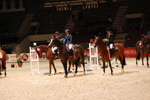 Amadeus Horse Indoors 3167177