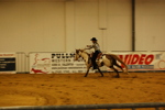 Amadeus Horse Indoors 3167190