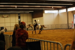 Amadeus Horse Indoors 3167200