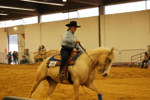 Amadeus Horse Indoors 3167285