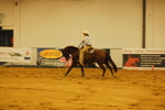 Amadeus Horse Indoors 3167322