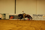 Amadeus Horse Indoors 3167325