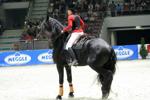 Amadeus Horse Indoors 3171117