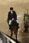 Amadeus Horse Indoors 3181915