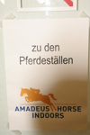 Amadeus Horse Indoors