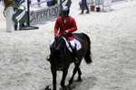 Amadeus Horse Indoors 3182242