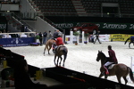 Amadeus Horse Indoors 3182331