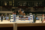 Amadeus Horse Indoors 3182458