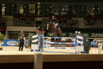 Amadeus Horse Indoors 3182460