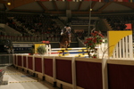 Amadeus Horse Indoors 3182472