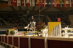 Amadeus Horse Indoors 3182485