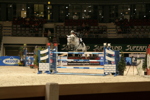 Amadeus Horse Indoors 3182501