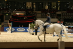 Amadeus Horse Indoors 3182504