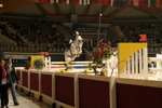 Amadeus Horse Indoors 3182509