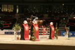 Amadeus Horse Indoors 3182531