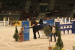 Amadeus Horse Indoors 3182540