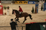 Amadeus Horse Indoors 3182576