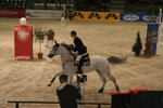 Amadeus Horse Indoors 3182578