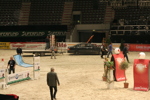 Amadeus Horse Indoors 3182580