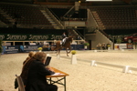 Amadeus Horse Indoors 3182619